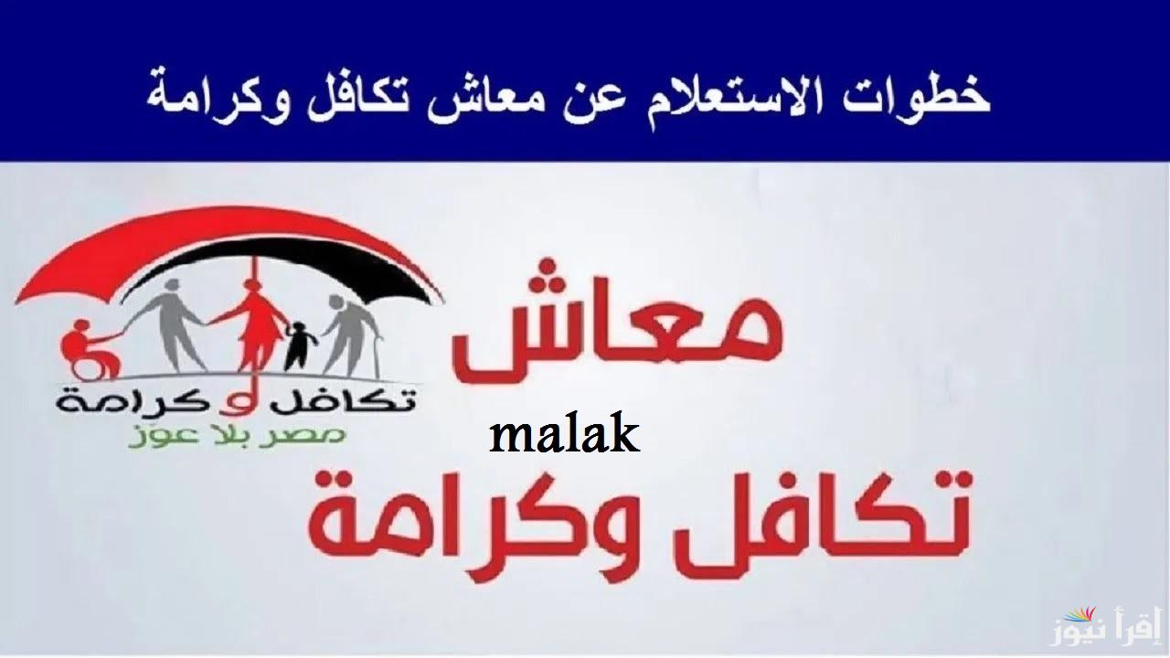 الاستعلام عن الاسماء الجدد في تكافل وكرامة 2025 بالرقم القومي عبر وزارة التضامن الاجتماعي