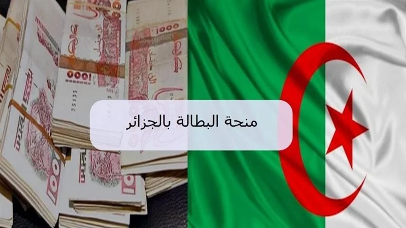 شغال قدم الآن.. خطوات التسجيل في منحة البطالة 2025 بالشروط المُعلنة من الوكالة الوطنية للتشغيل minha.anem.dz