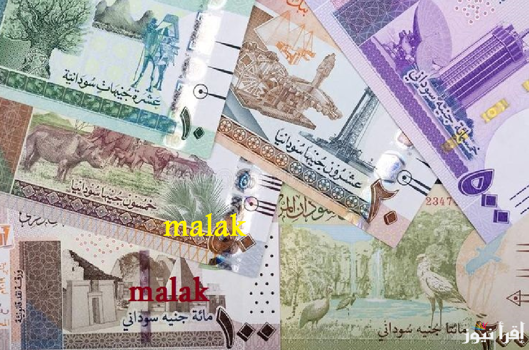سعر الجنيه السوداني اليوم الأربعاء 8 يناير 2025 حسب اخر تحديثات في البنوك