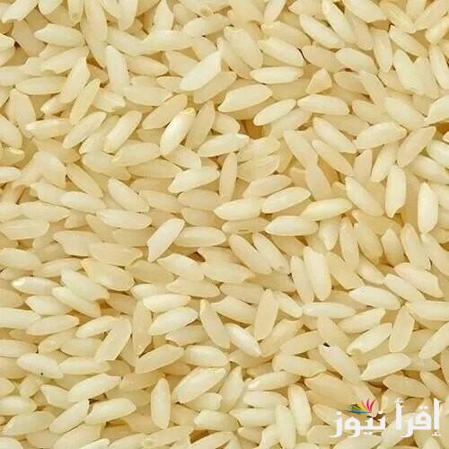 سعر طن الأرز الشعير اليوم الاثنين 27 يناير 2025 .. السوق المحلي يفجر مفاجأة للمستهلك