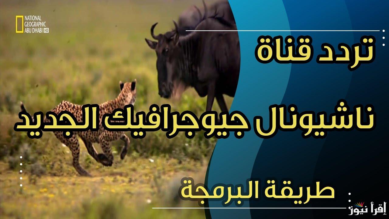 “اكتشف الطبيعة” تردد قناة ناشيونال جيوغرافيك الجديد 2025 National Geographic Channel علي الأقمار الصناعية عرب سات ونايل سات