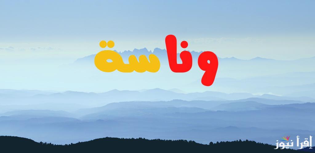 استقبالها الان .. تردد قناة وناسة كيدز الجديد 2025 وخلي طفلك يستمتع بساعة ونص من الأغاني الحصرية