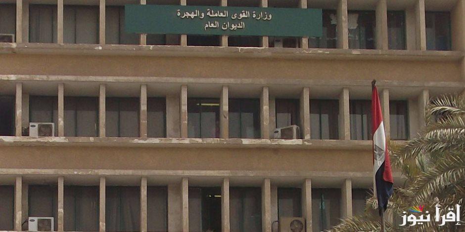 تسجيل العمالة الغير منتظمة 1000 جنيه 2025 بأسهل الخطوات عبر موقع وزارة القوى العاملة manpower.gov.eg