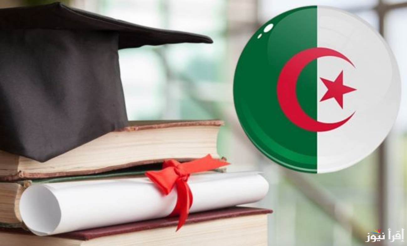 أرضية تسجيلات مسابقة الدكتوراه 2025 الجزائر “إلكترونيًا فقط” فتح الآن وشروط التسجيل