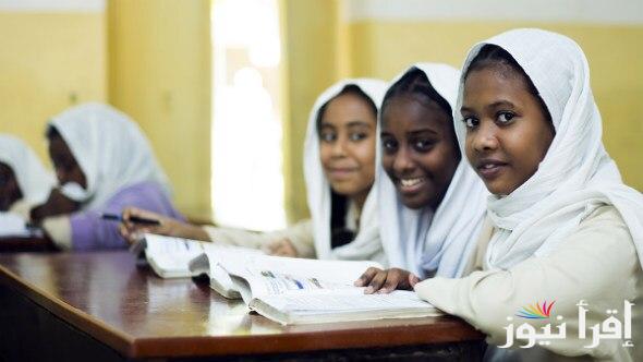 خطوات الاستعلام عن نتائج الشهادة السودانية 2025 بالاسم ورقم الجلوس عبر الموقع الرسمي لوزارة التعليم السودانية