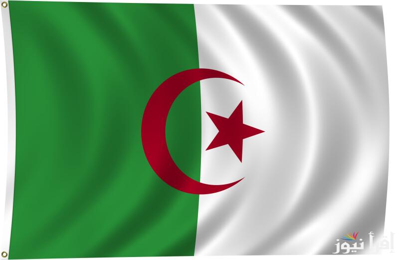خطوات تجديد منحة البطالة كل 6 شهور 2025 عبر الرابط anem.dz وابرز الشروط اللازمة