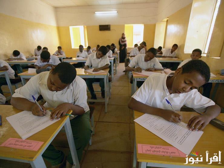 رابط استخراج نتيجة الشهادة السودانية 2025 عبر موقع وزارة التربية والتعليم mohe.gov.SD