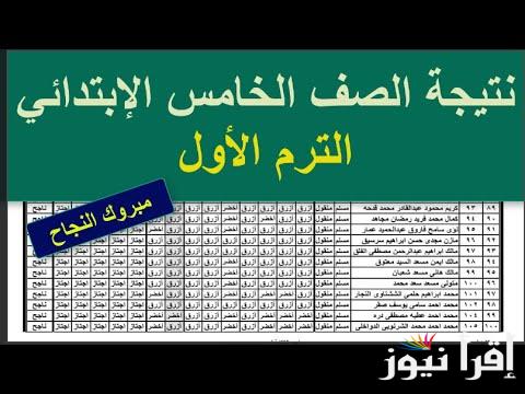“الأن 5 ابتدائي” رابط الاستعلام علي نتيجة الصف الخامس الابتدائي 2025 برقم الجلوس عبر موقع وزارة التربية والتعليم