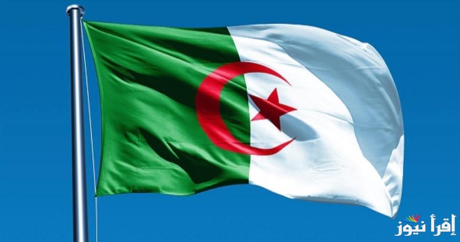 تعرف علي رابط التسجيل في منحة الطفل بالجزائر 2025 من خلال mtess.gov.dz وشروط التسجيل للقبول بها