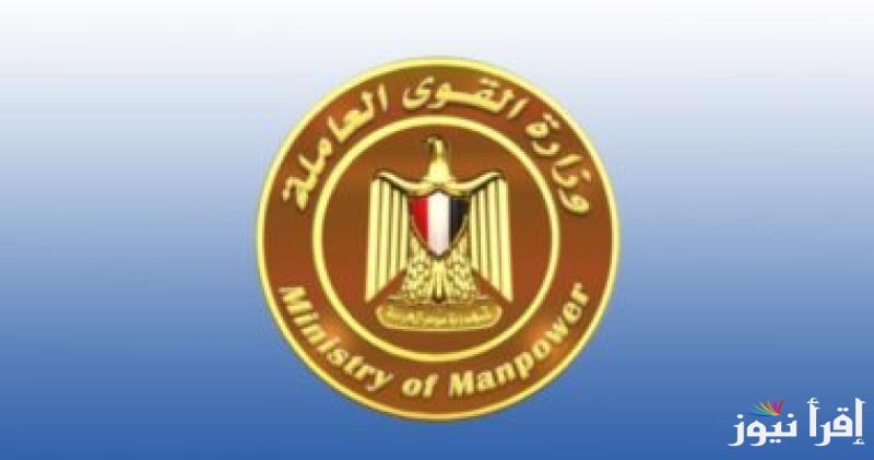 رابط التسجيل في منحة العمالة غير المنتظمة 2025 mom.manpower.gov.eg والشروط التقديم وفقا لوزارة القوي العاملة