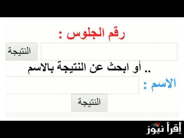 رابط بوابة التعليم الاساسي للنتائج 2025 نتيجة رابعة وخامسة وسادسة ابتدائي عبر eduserv.cairo.gov.eg