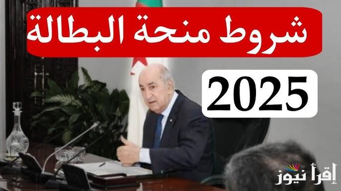 4 شروط لا غنى عنها .. رابط تجديد منحة البطالة الجزائر 2025 عبر الوكالة الوطنية للتشغيل anem.dz