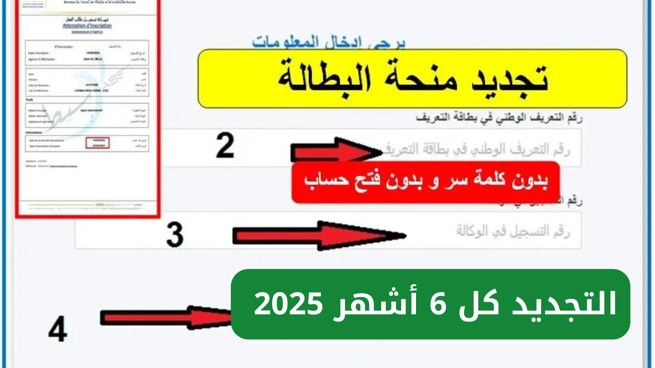 ” قــبل ما تتوقــف ” رابط تجديد منحة البطالة كل 6 أشهر 2025 من الهاتف عــــبر anem.dz موعد الصرف