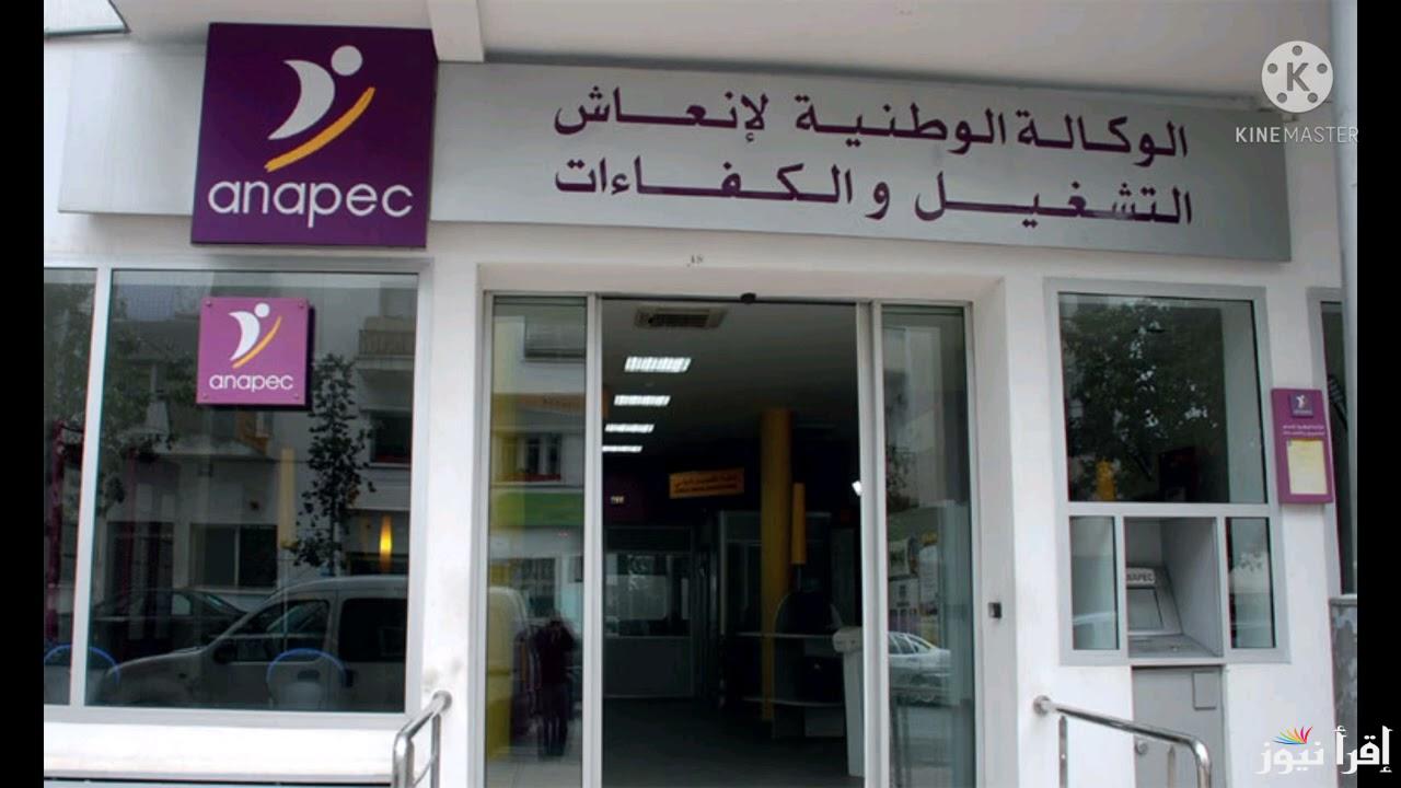 رابط تجديد منحة البطالة من الهاتف 2025 anem.dz والمستندات المطلوبة