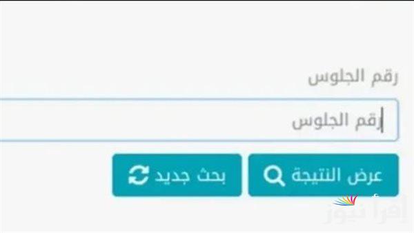 هنــا.. رابط موقع بوابة التعليم الأساسي للنتائج 2025 لجميع المدارس التابع لوزارة التربية والتعليم