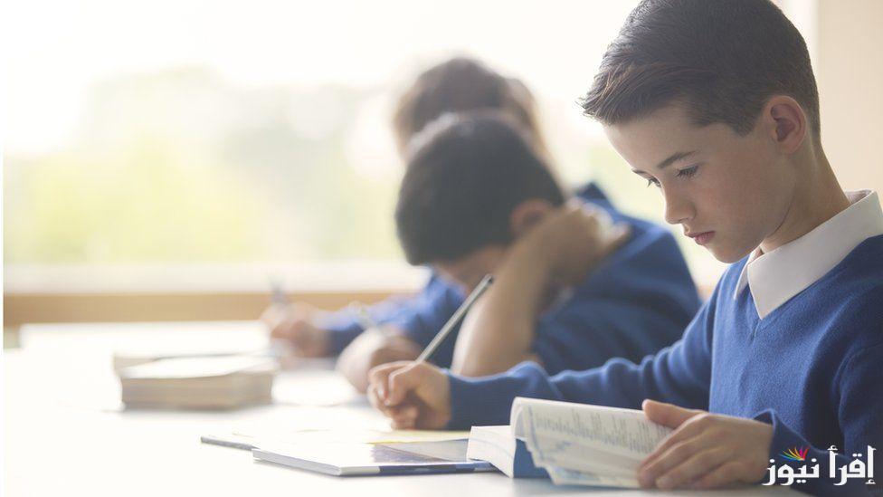 متوفر.. رابط نتيجة الصف الرابع والخامس والسادس الابتدائي 2025 eduserv.cairo.gov.eg