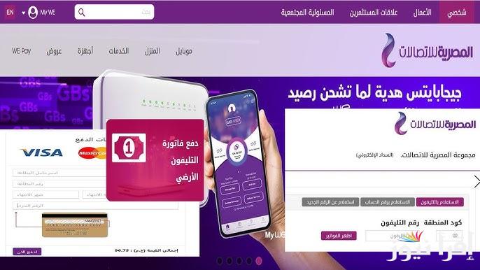 رابط وخطوات دفع واستعلام فاتورة التليفون الأرضي 2025 عبر الموقع الالكتروني للمصرية للاتصالات billing.te.eg