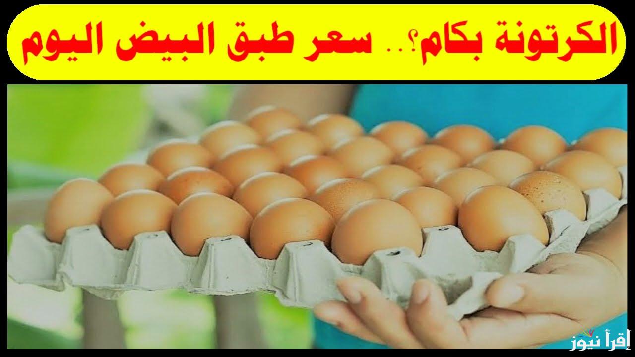 البيض الاحمر بكام؟ سعر كرتون البيض اليوم الاثنين 13 يناير 2025 من الجملة حتي وصلها للمستهلك