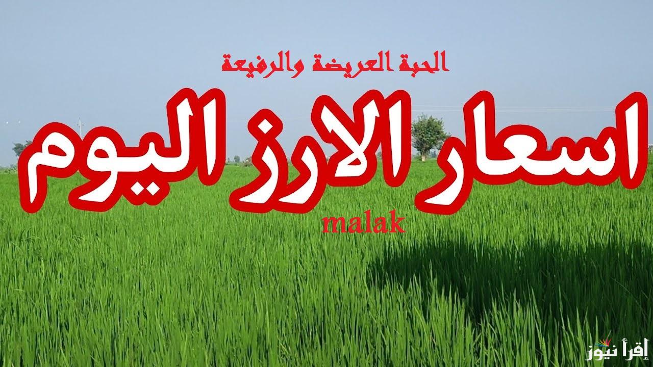 “العريضة والرفيعة بكام” سعر الأرز الشعير اليوم الاربعاء 22-1-2025 في بداية التعاملات في الأسواق المحلية