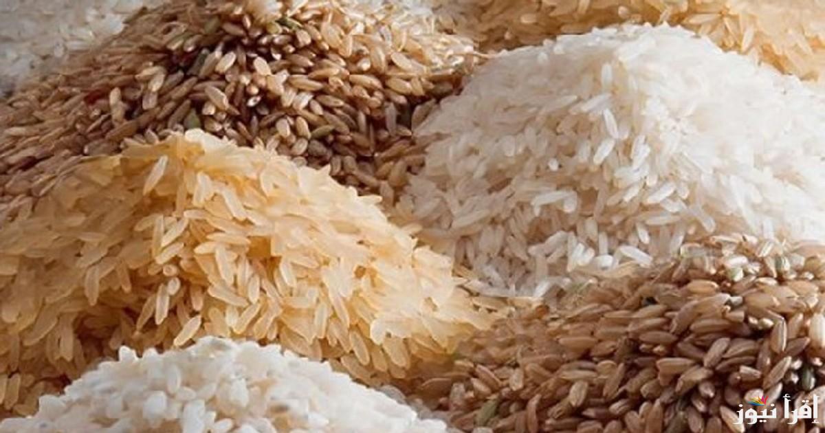 “طن الأرز بكام” سعر الأرز الشعير اليوم الأربعاء 22 يناير في الأسواق المحلية