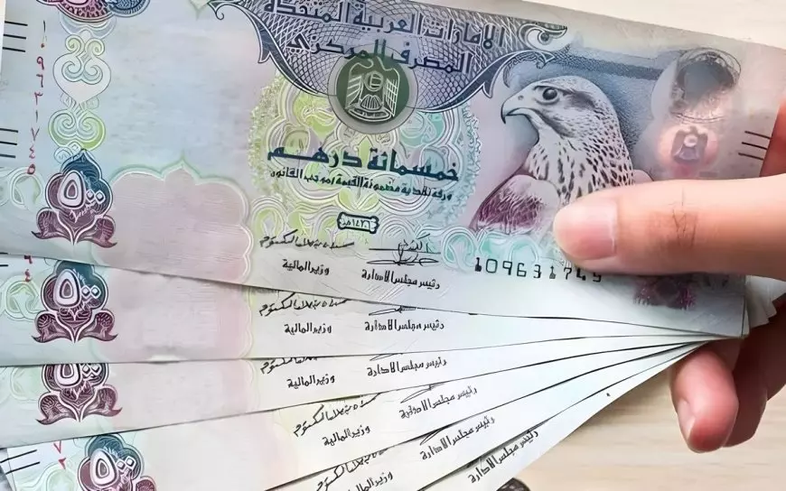 ترقب سعر الدرهم الاماراتي في السوق السوداء مقابل الجنية المصري اليوم الجمعة 17 يناير 2025