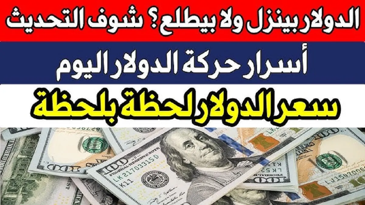 تحديث يومي .. كم وصل سعر الدولار اليوم البنك الأهلي والبنوك المصرية في حالة الشراء والبيع