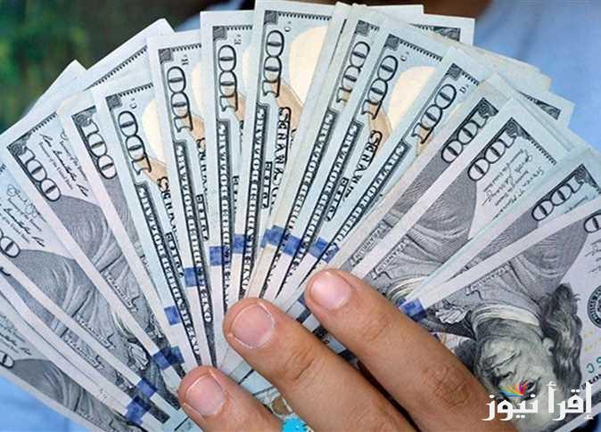 ” الاخضر يستقر ” سعر الدولار في السوق السوداء اليوم الاثنين 27 يناير 2025 والبنوك المختلفة