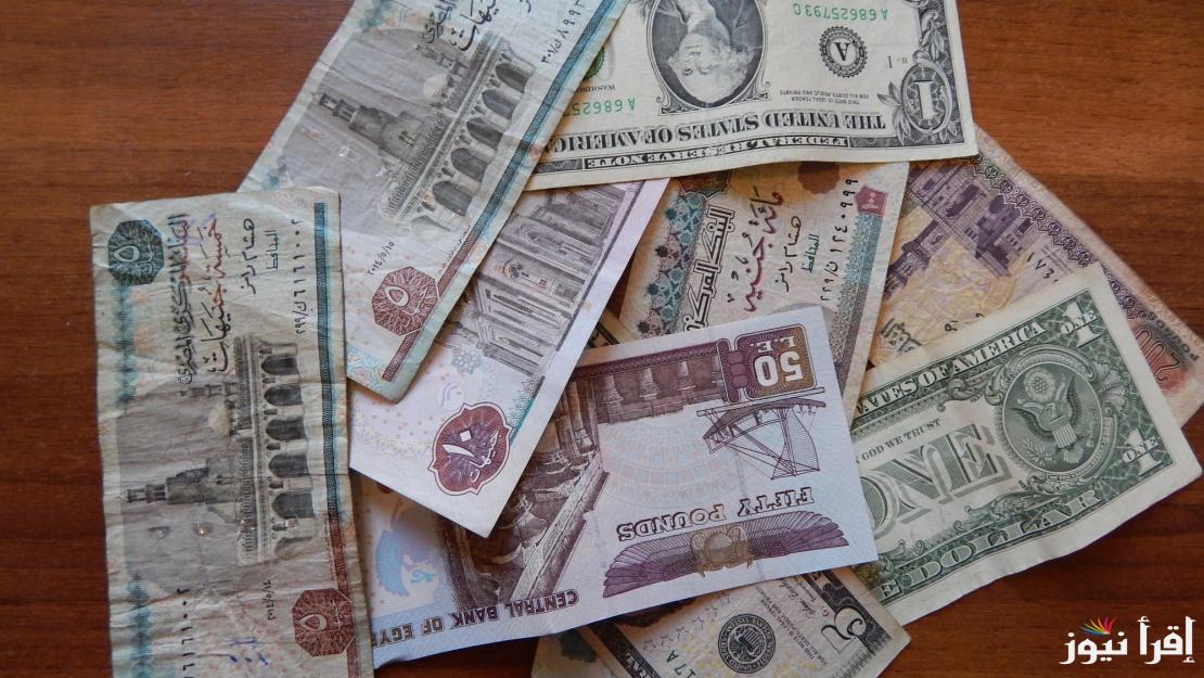 آخر تحديث.. سعر الدولار اليوم مقابل الجنية المصري الثلاثاء 14 يناير 2025 في السوق السوداء والبنوك