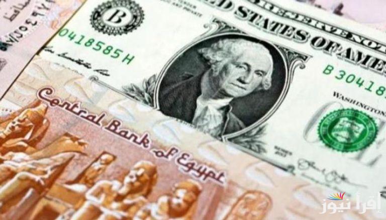 “الأخضر عامل كام” سعر الدولار اليوم مقابل الجنيه المصري الخميس 30 يناير 2025 في البنوك المصرية