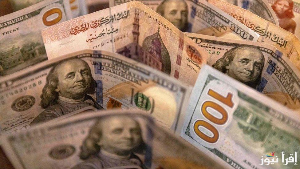 “الأخضر يسعى للقمة” سعر الدولار في السوق السوداء اليوم الثلاثاء 28 يناير 2025 وداخل البنوك التجارية مقابل الجنية المصري