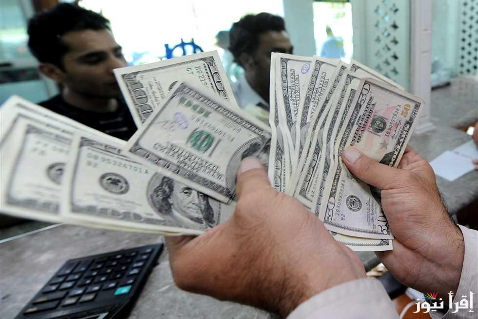 الأخضر بكام انهاردة؟ سعر الدولار في السوق السوداء اليوم الاثنين 13 يناير 2025 والبنوك المصرية المختلفة