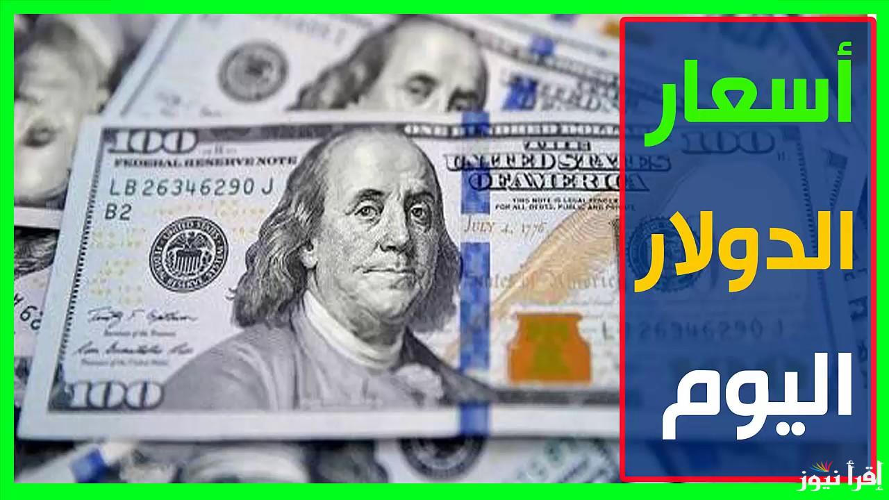 استقرار.. سعر الدولار في السوق السوداء اليوم السبت 11 يناير 2025 وفي البنوك المصرية