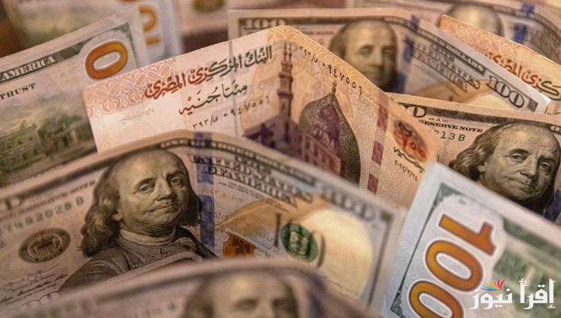 الأخضر عامل قلق .. سعر الدولار في السوق السوداء اليوم الثلاثاء 28 يناير 2025 واخر تحديث للبنوك المصرية
