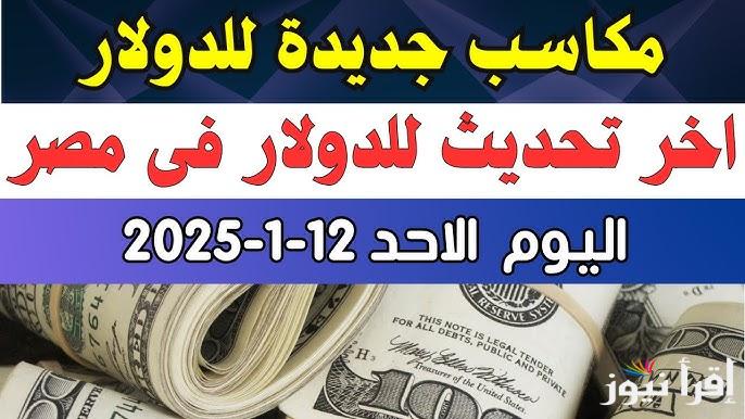 رسميًا الآن.. سعر الدولار مقابل الجنيه المصري اليوم الاحد 12 / 1 / 2025 في البنوك المصرفية والسوق الموازية