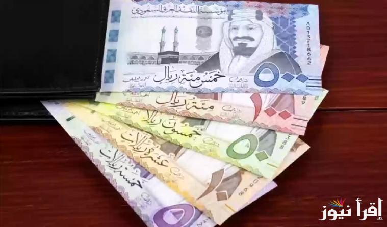 سعر الريال السعودي في السوق السوداء اليوم الثلاثاء 28 يناير 2025 والبنك الأهلي المصري مقابل الجنيه