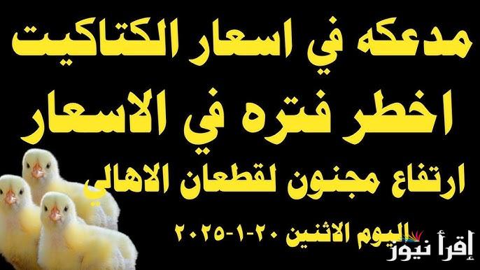 الوطنية يرتفع فجأة || سعر الكتكوت الأبيض اليوم الإثنين 20 يناير 2025 عُمر يوم في بورصة الدواجن والكتاكيت