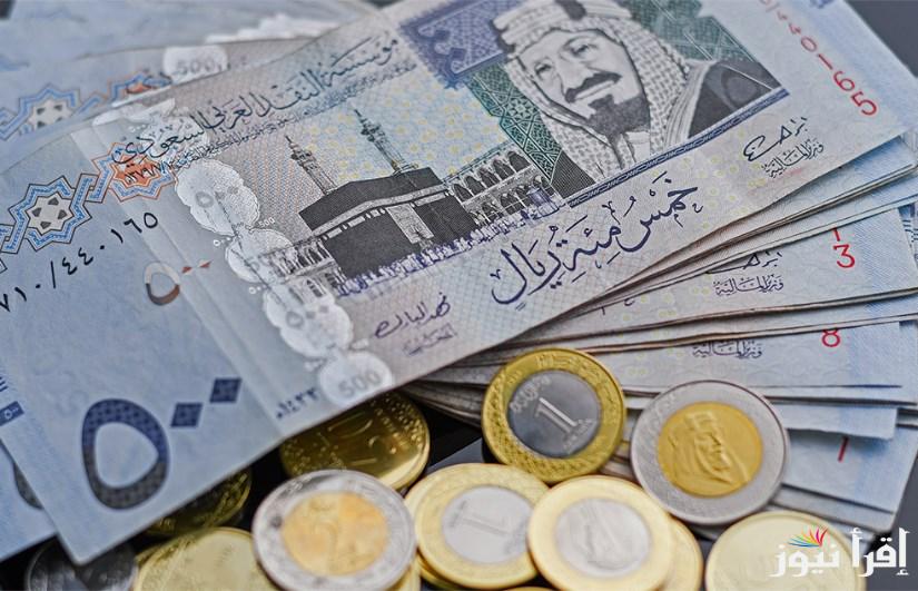 الملكي مقابل المصري.. سعر الريال السعودي اليوم الأربعاء 29 يناير 2025 داخل البنوك والسوق السوداء