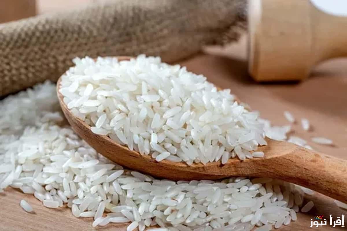 وصل كام انهاردة؟.. سعر طن الأرز الشعير اليوم الثلاثاء 14 يناير 2025 وأسعار السلع الغذائية