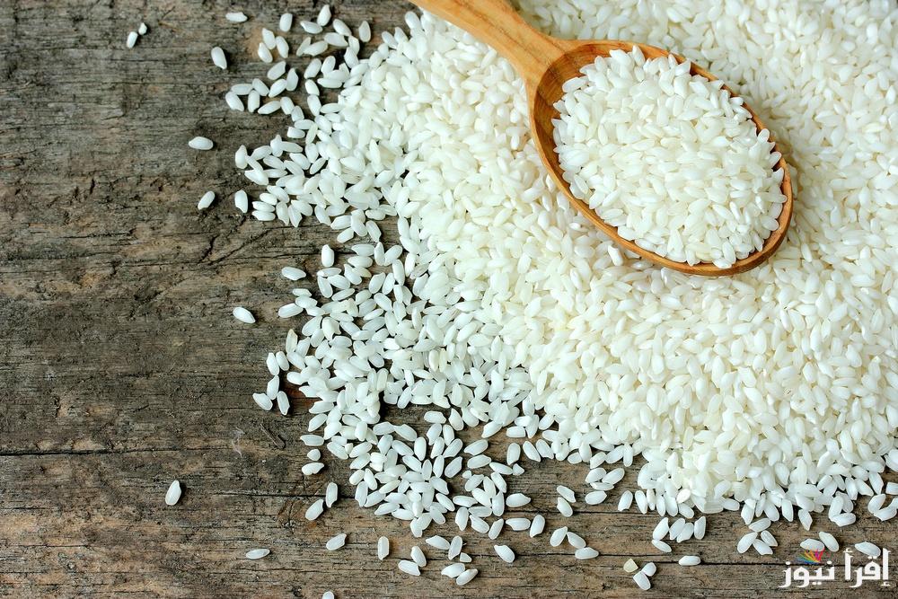 العريض سجل كام؟ .. سعر طن الأرز الشعير اليوم الخميس 16 يناير 2025 في كافة الأسواق المصرية