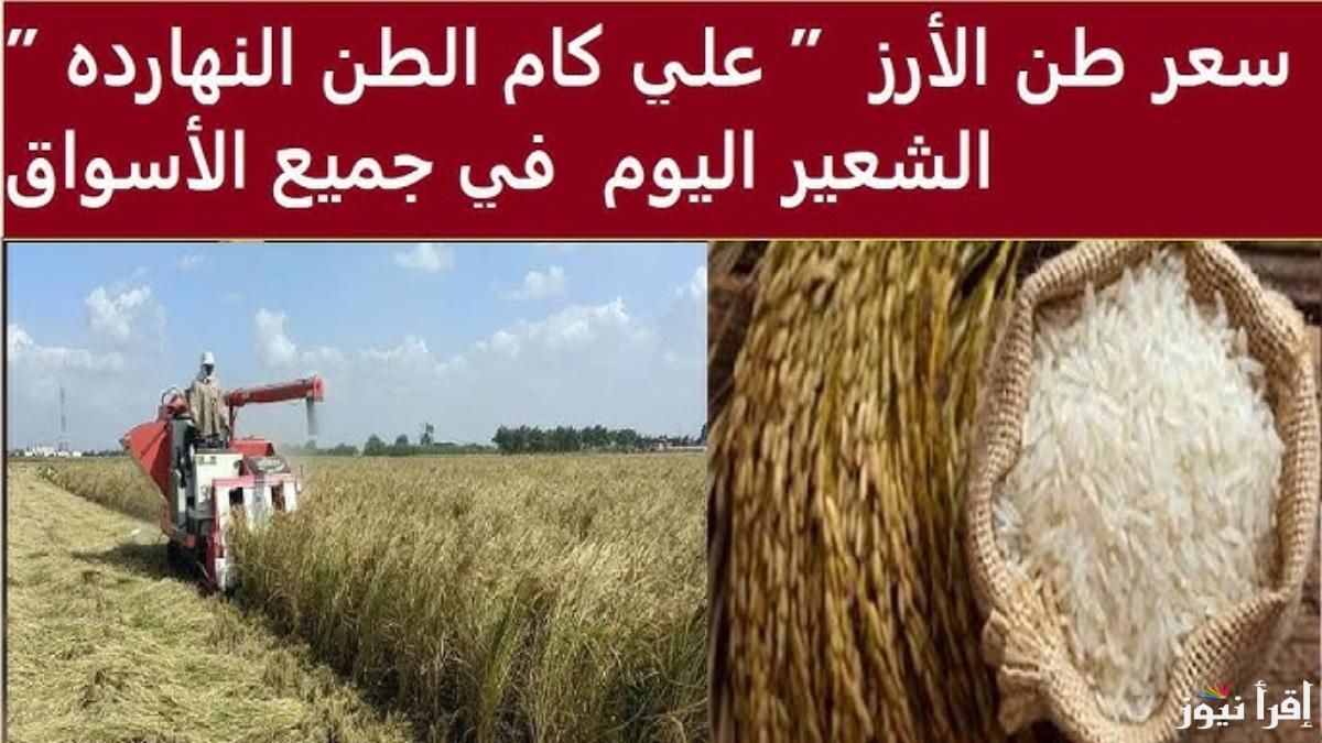 “فرصة للشراء قبل رمضان” سعر طن الأرز الشعير اليوم الجمعة 17 يناير 2025 والأبيض داخل جميع الأسواق الاستهلاكية