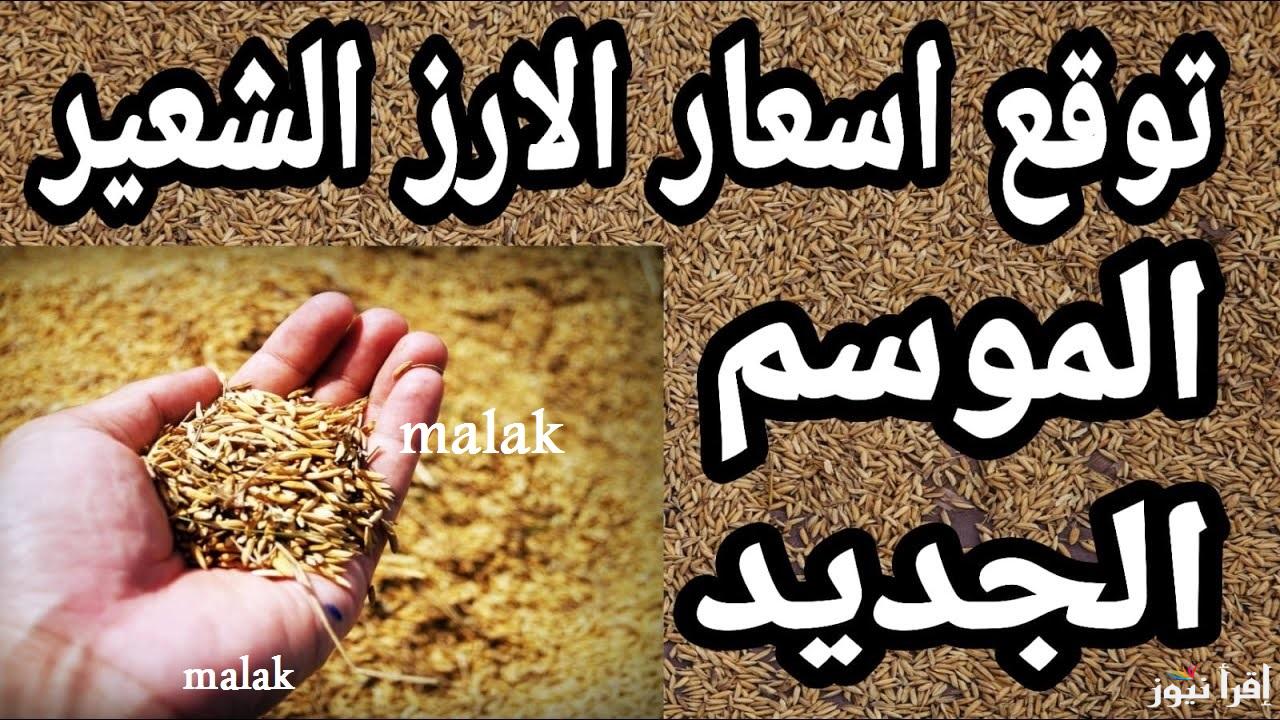 “الطن وصل كام” سعر الأرز الشعير اليوم السبت 18-1-2025 في الاسواق المحلية