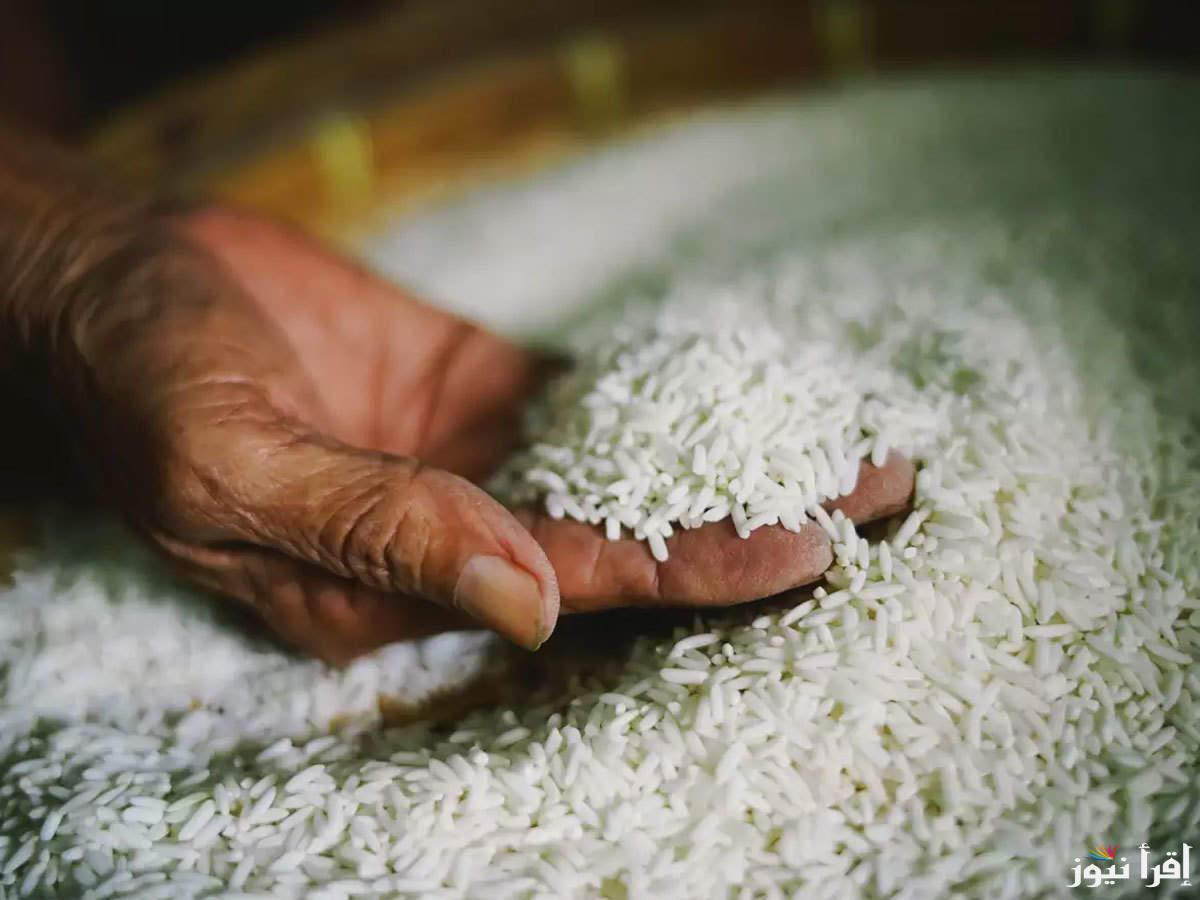 “بسرعة ألحق أشتري” سعر طن الأرز الشعير اليوم الأثنين 20 يناير 2025 للمستخدمين وللتجار في الأسواق المصرية