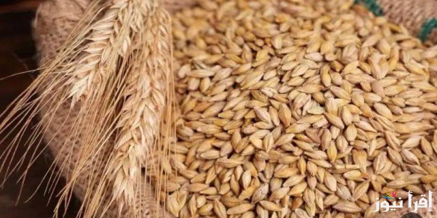 عريض ورفيع على كــــام … سعر طن الأرز الشعير اليوم الثلاثاء 21 يناير 2025 في الاسواق المحلية للسلع الغذائية