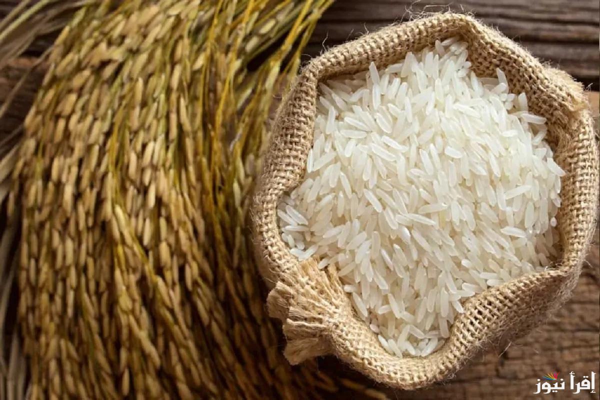 “من الكيلو للطن” سعر طن الأرز الشعير اليوم الأثنين 27 يناير 2025 رفيع وعريض الحبة داخل جميع الاسواق