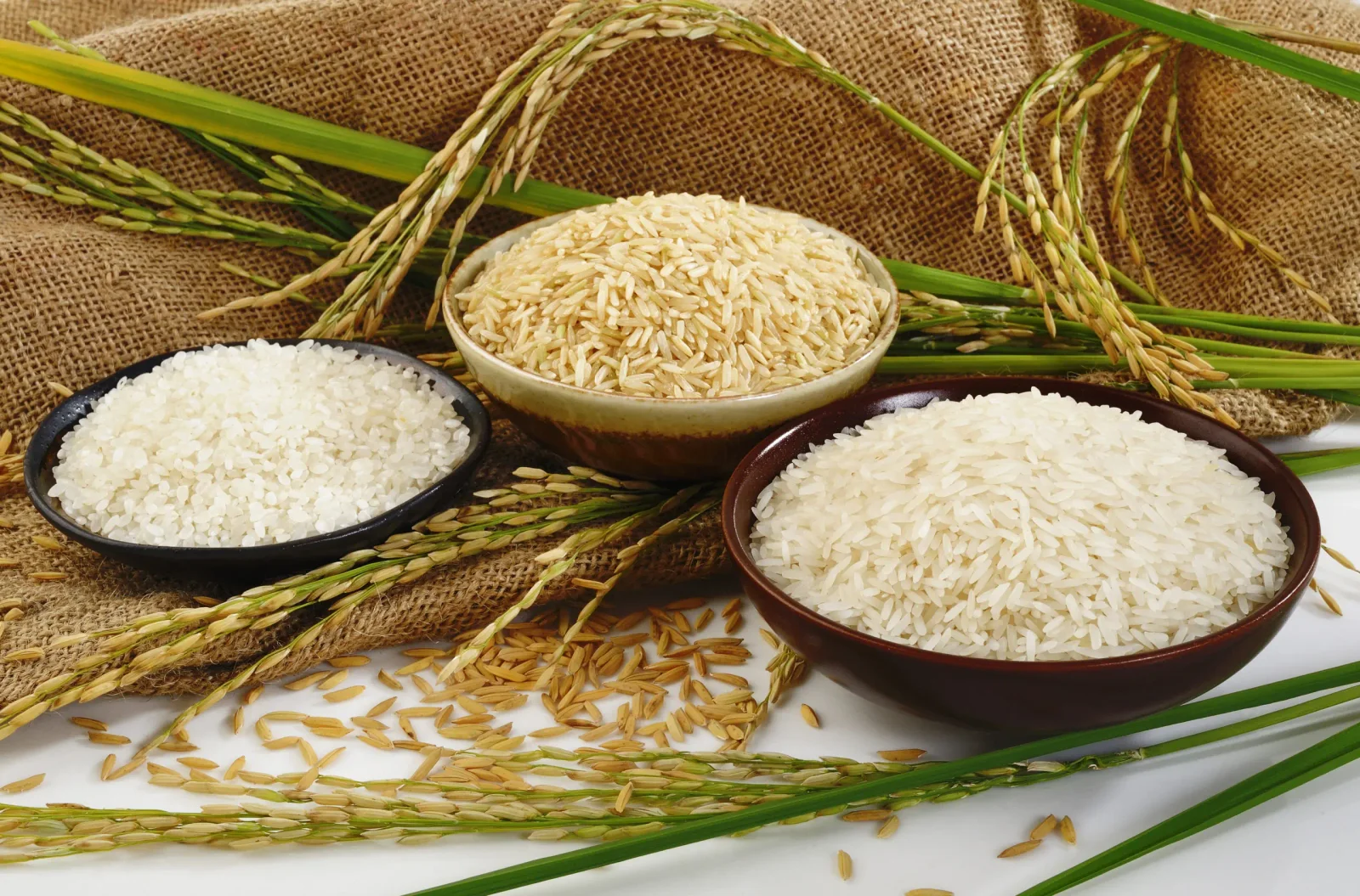 “الحقي خزني عشان رمضان”.. سعر طن الأرز الشعير اليوم الأحد 19-1-2025 في كل محلات الاسواق المصرية
