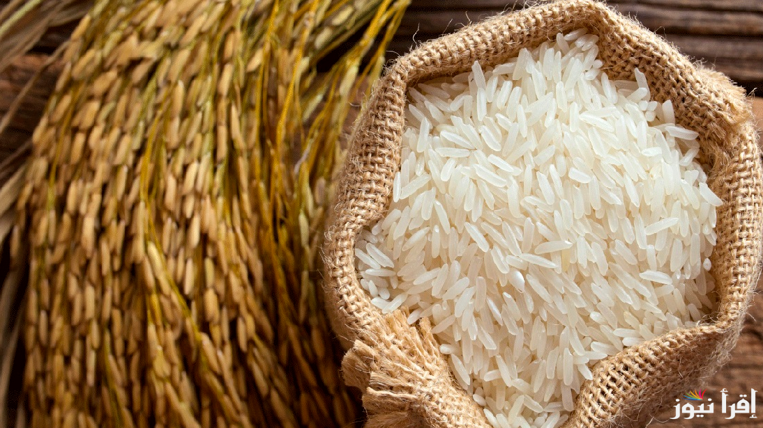 بكم سعر طن الأرز الشعير اليوم الأربعاء 22 يناير 2025 في الأسواق المحلية في مصر
