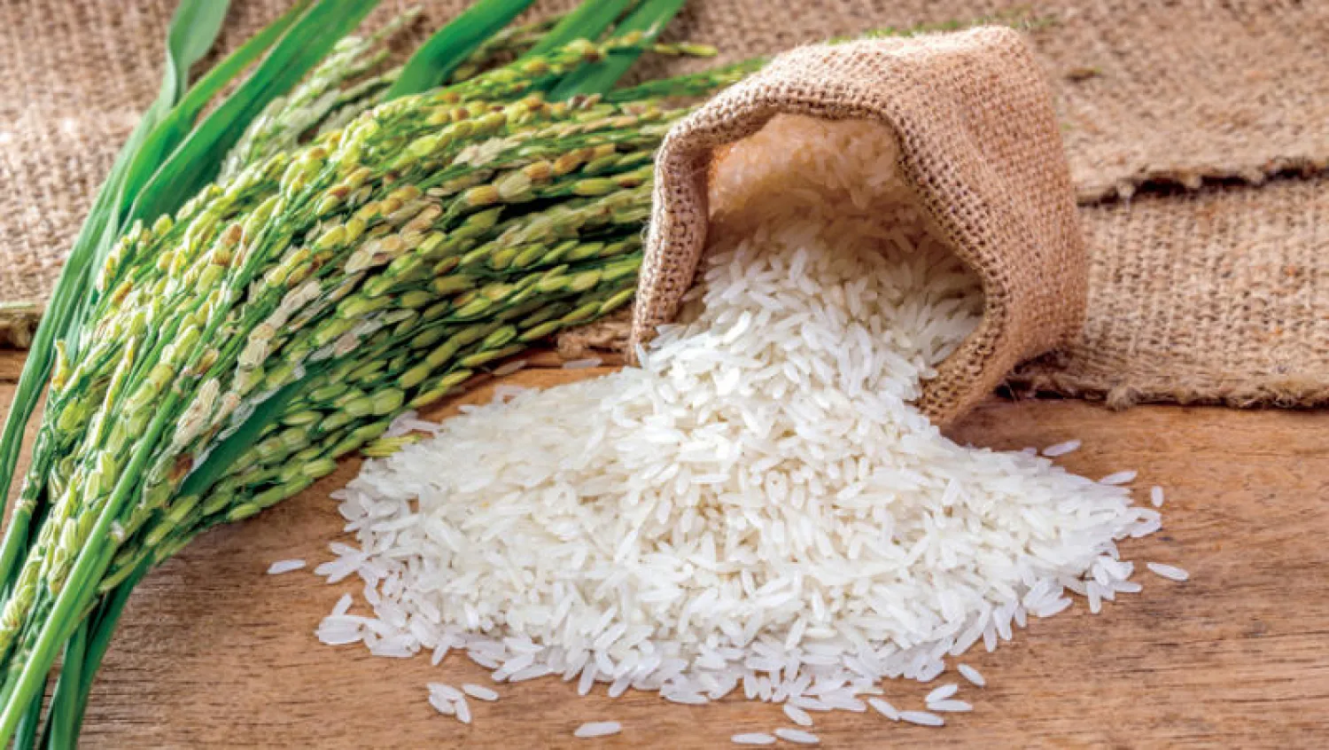 “الحق اشتري قبل رمضان “سعر طن الأرز الشعير اليوم الثلاثاء 14 يناير 2025 والمعبأ يقترب من 40 جنيه
