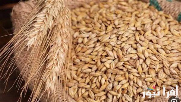 “خزني قبل الغلاء” سعر طن الأرز الشعير اليوم الثلاثاء 21 يناير في الأسواق المحلية