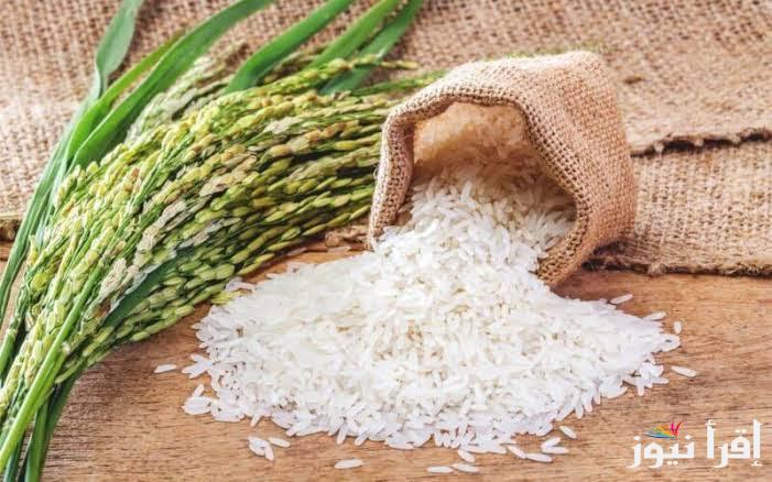 ارتفع بعد انخفاض.. سعر طن الأرز الشعير اليوم الخميس 2 يناير 2025 في الاسواق المحلية للسلع الغذائية