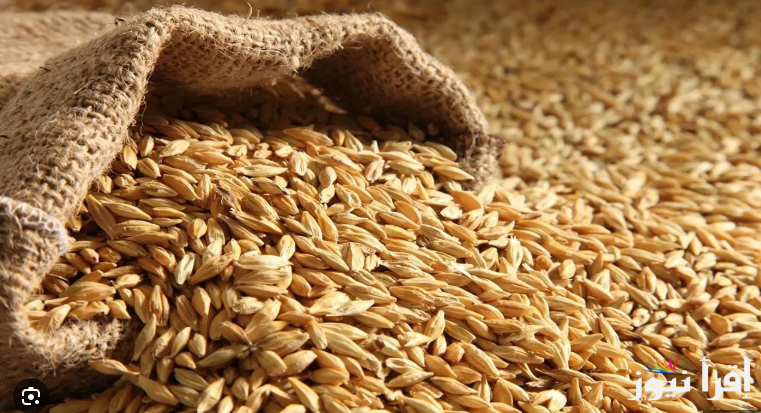 سعر طن الأرز الشعير اليوم الخميس 30 يناير 2025